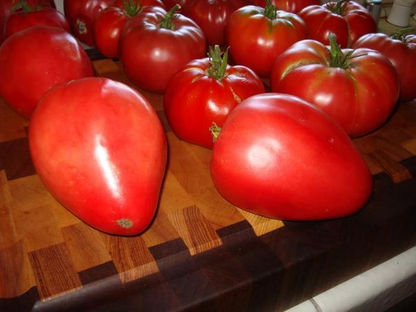  The first fruits of the bush are not suitable for salting due to the large size