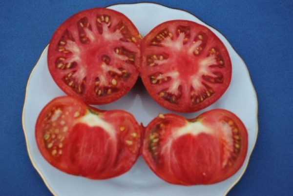  Tomatul poartă dovleac în tăietură