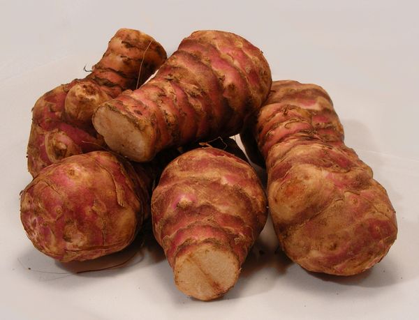  Ierbusele din anghinare sunt foarte nutritive și conțin un număr mare de oligoelemente