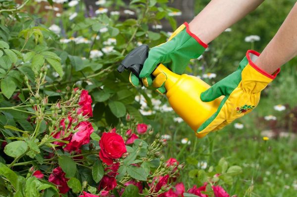  Quando si lavora con fertilizzanti, è assolutamente necessario utilizzare agenti protettivi.