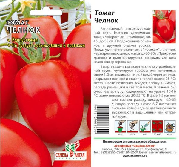  navetă