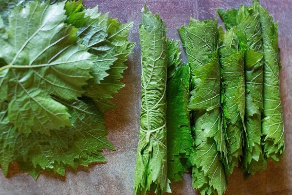  Twisting grape leaves for freezing