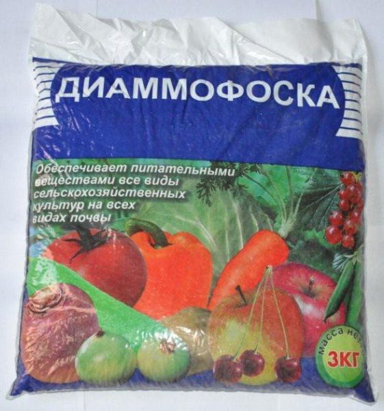  Diammofoska - fertilizzante che inizia ad agire rapidamente, quasi immediatamente dopo averlo fatto