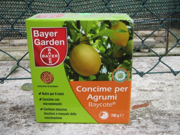  One type of fertilizer for lemons and citrus