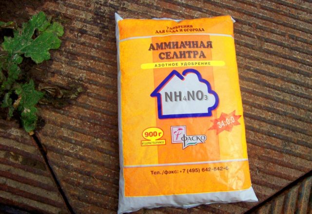  Nitrato di ammonio