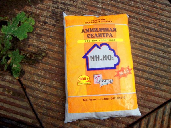  Nitrato di ammonio