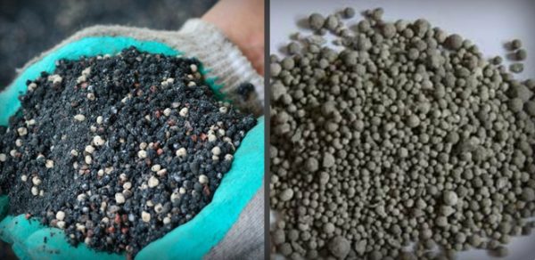  Phosphoric fertilizers