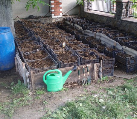  hrăniți numai după distrugerea porțiunii anterioare