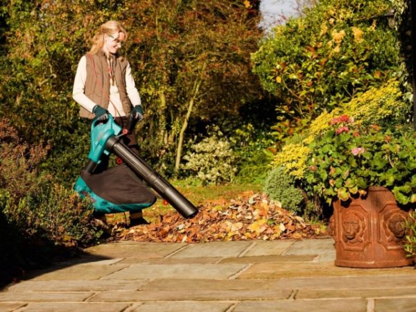  Aspirapolvere da giardino
