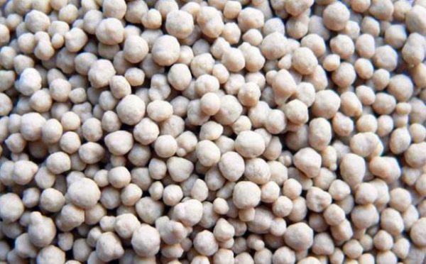  Concime Ammophos