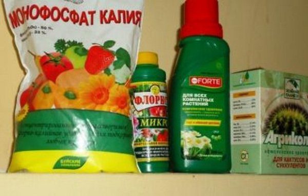  È necessario conservare il fertilizzante in una stanza ventilata, in cui non vi è accesso per bambini e animali.