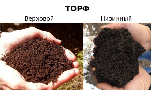  Tipuri de turbă
