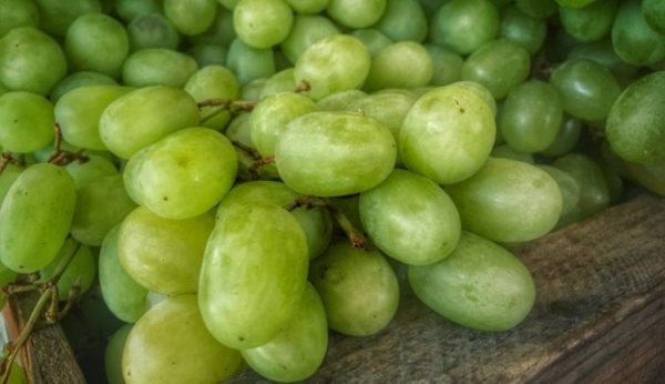  grape is a berry