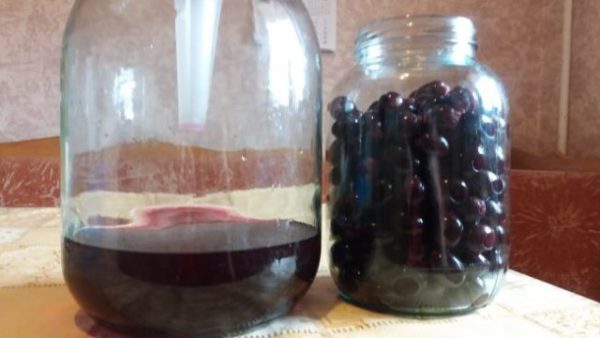  Preparation of tincture on grapes