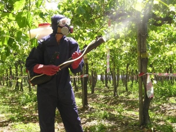  Quando si spruzza questo prodotto, utilizzare l'equipaggiamento di protezione personale.