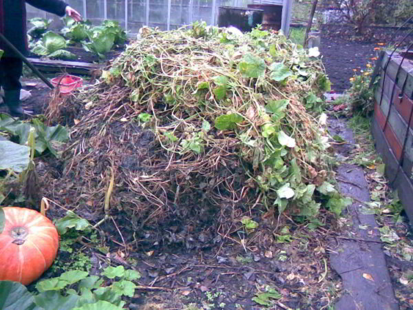  El compost natural es un residuo orgánico podrido.