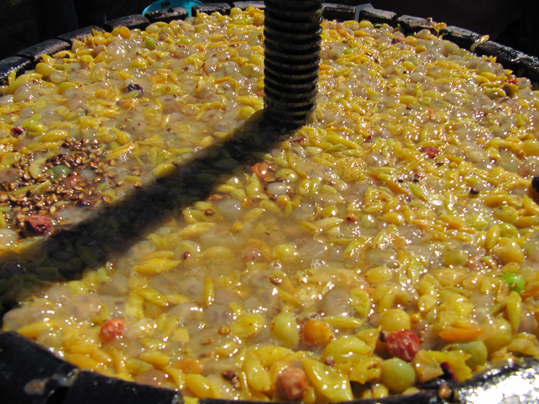  Fermentation of grapes