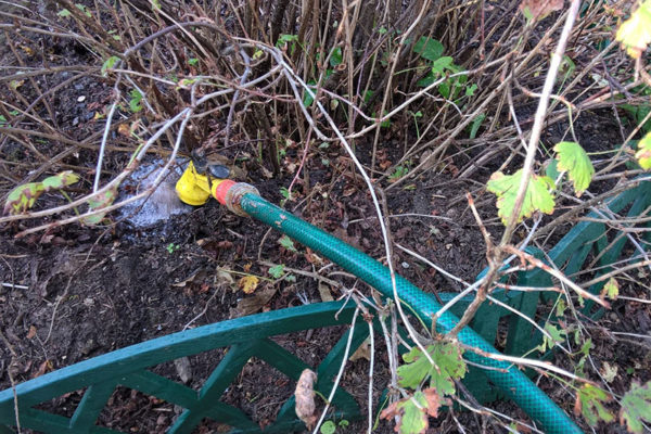  Watering under each bush