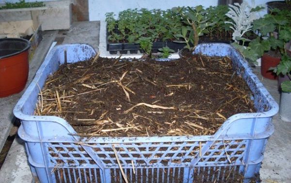  Biohumus este util pentru plante