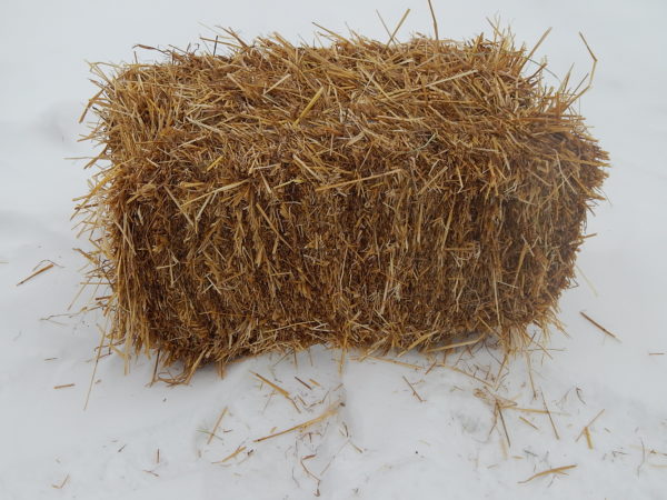  Paja de cebada