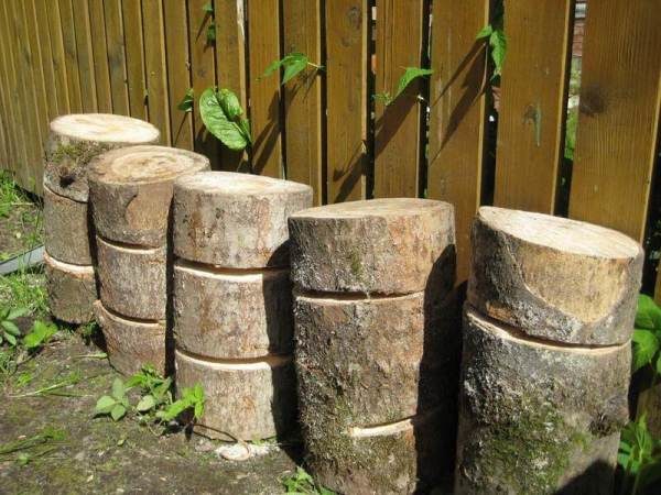  Preparation of logs for growing mushrooms