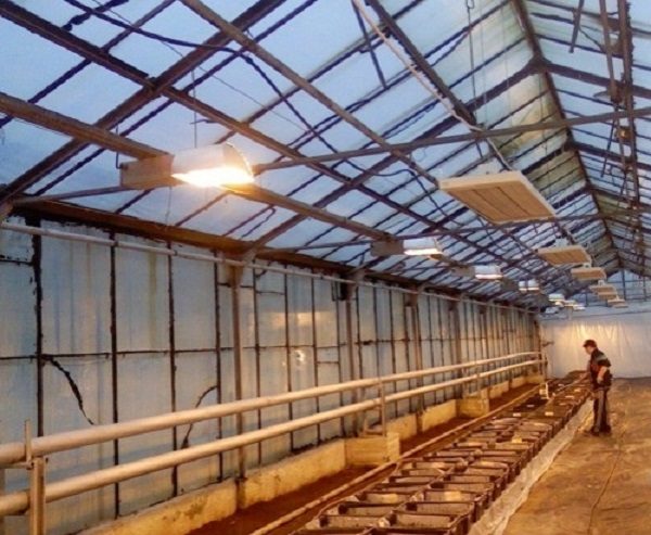  Heating pipes have a perimeter