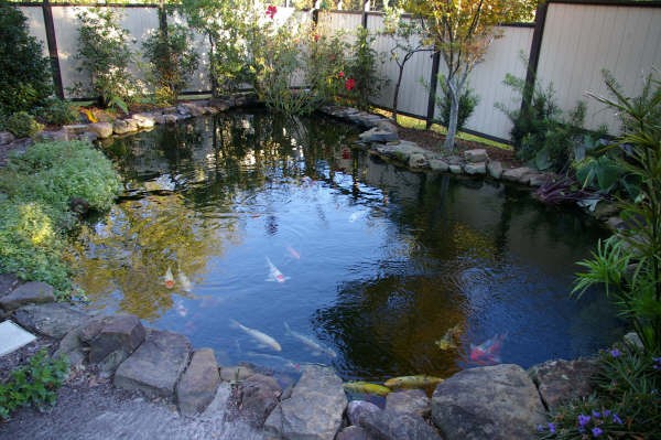  Estanque de peces