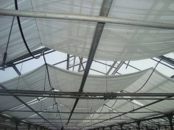  Greenhouse shading