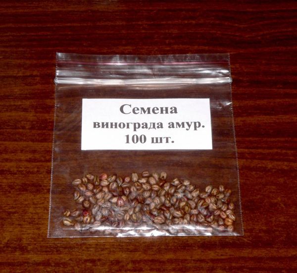  Grape seeds Amur