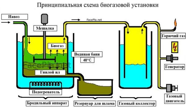  Diagram of a biogas reactor