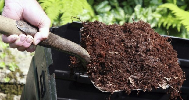  What is compost
