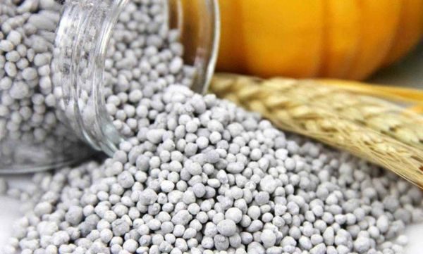  Mineral granulation fertilizer for lemon