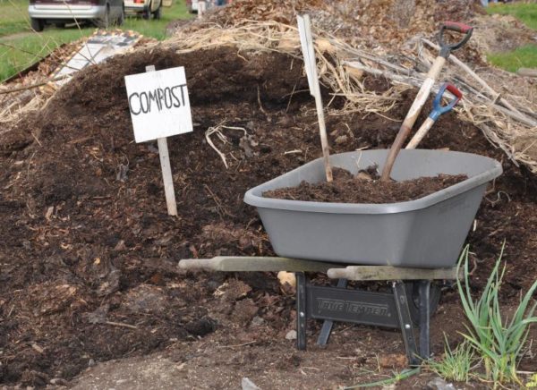  Compost pit