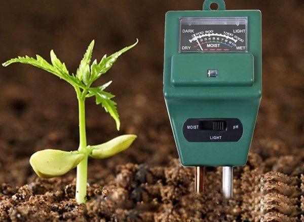  come determinare l'acidità del suolo a casa