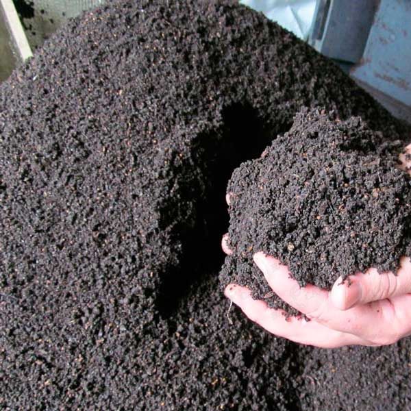  Înainte de plantare terenul poate fi fertilizat