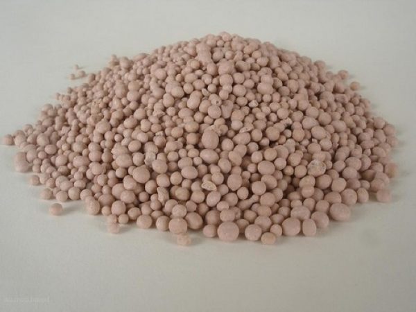  Diammofoska - fertilizzante minerale complesso
