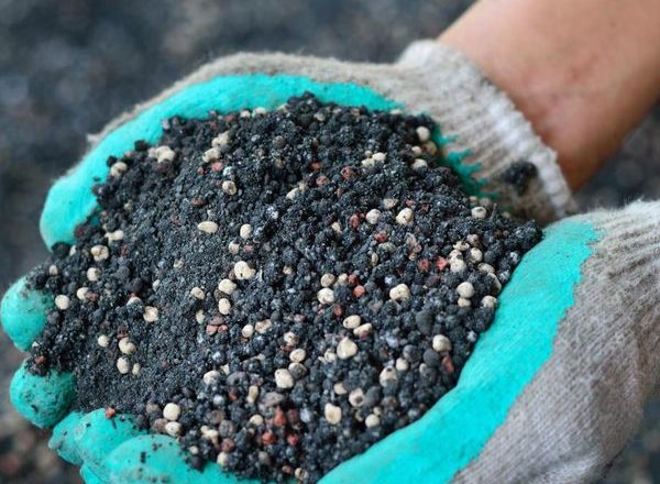  Fertilizantes fosfóricos para plantas