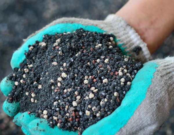  Fertilizantes fosfóricos para plantas