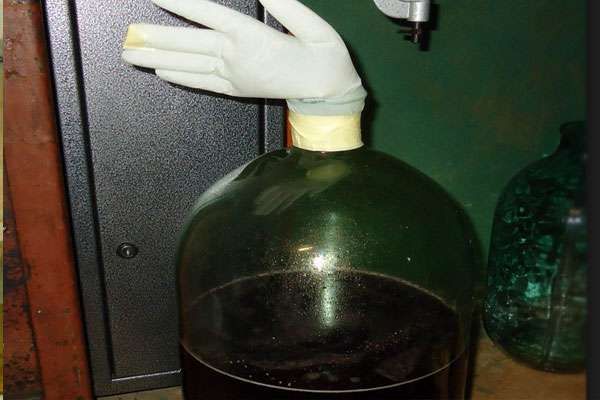  Guante soplado en el cuello indica el final del proceso de fermentación