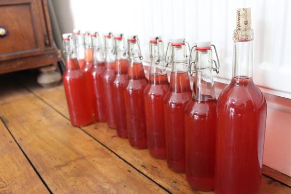  Después de equilibrar el sabor del vino se embotella en botellas limpias y selladas.