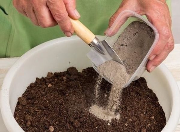  Ash can be mixed with soil and then scattered around trees.