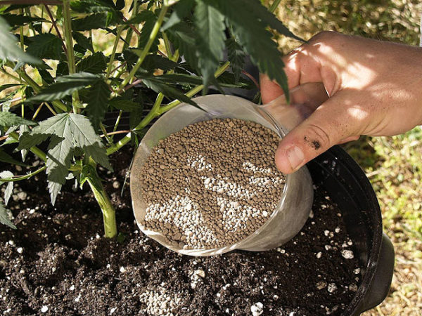  Concime di cloruro di potassio