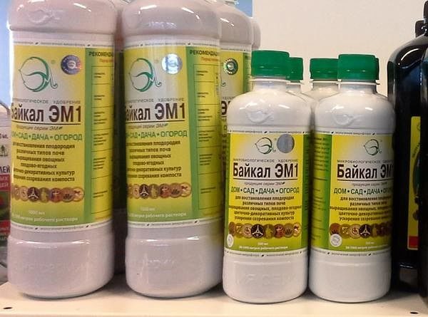  Forme di rilascio del farmaco baikal um-1