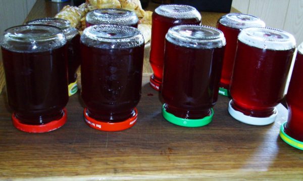  Homemade Grape Juice