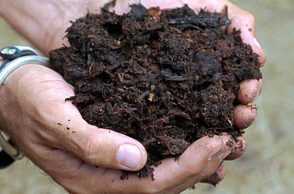  Il periodo di maturazione dell'humus è di 1,5-2 anni