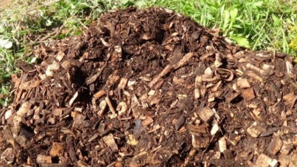  Compost din rumeguș
