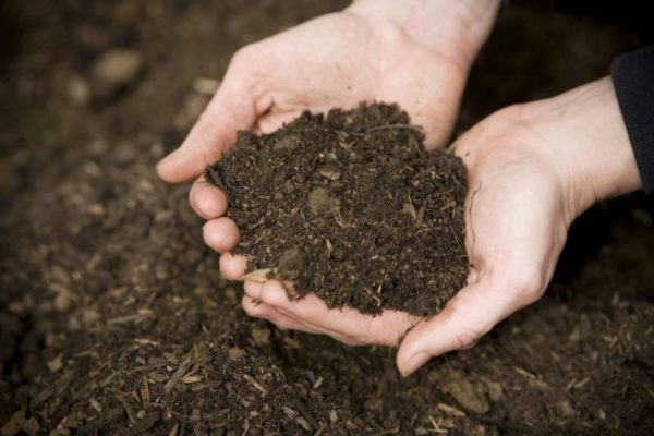  Este compost casi no tiene defectos.