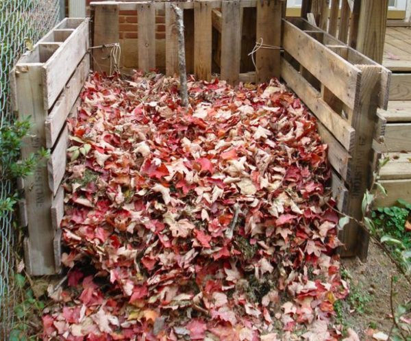  Foglie di compost