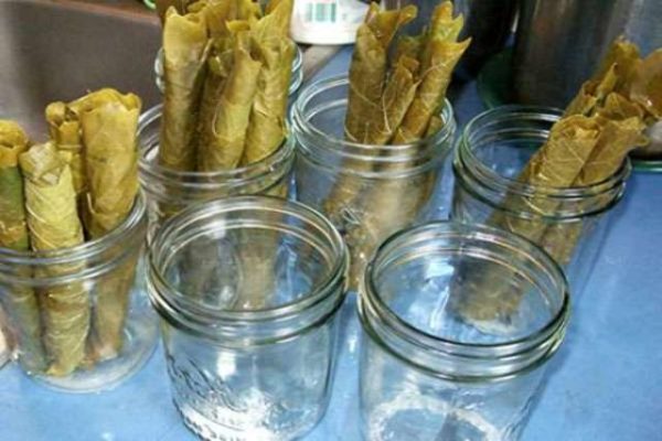  Preparation for pickling grape leaves