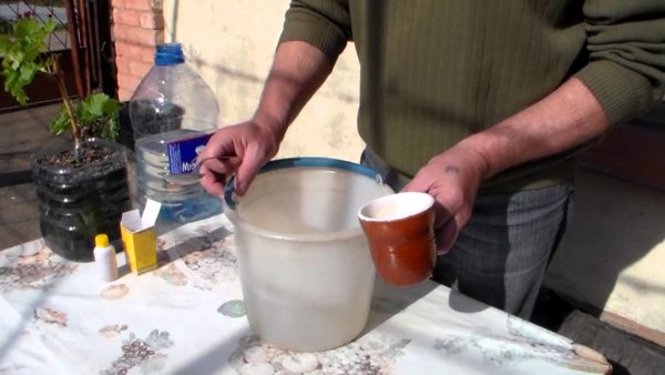  Inizio di fertilizzante concentrato baikal em-1 per la lettiera